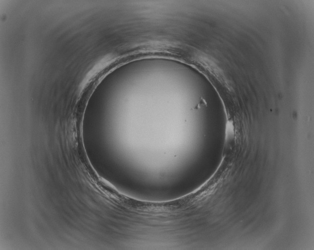 X0000064041164200601301141