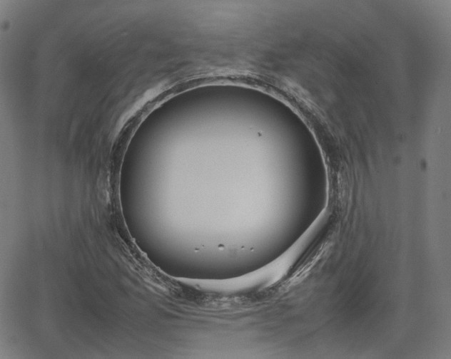 X0000064041165200601301141