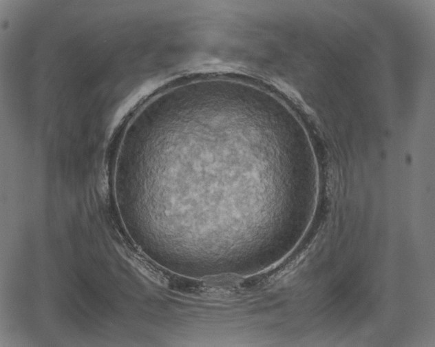 X0000064041167200601301141