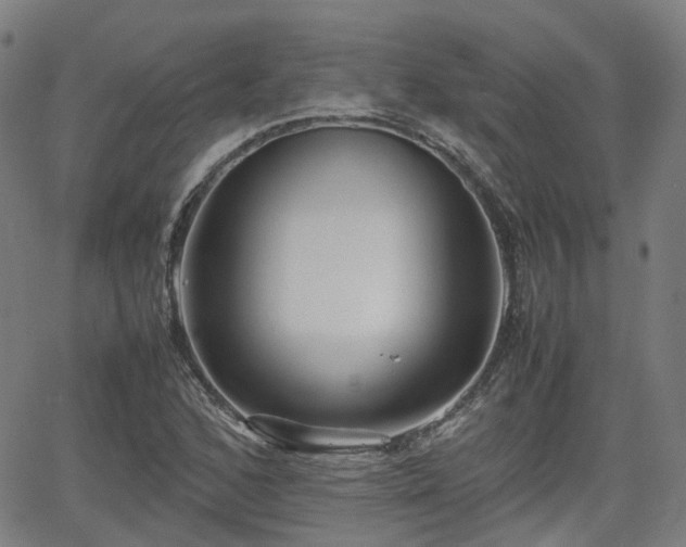 X0000064041168200601301141