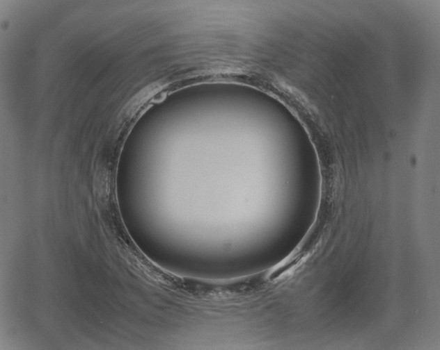 X0000064041169200601301141