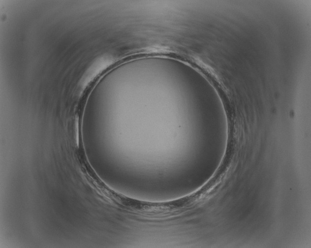 X0000064041171200601301141