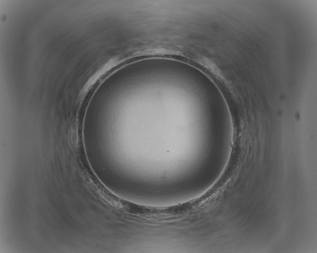 X0000064041173200601301141