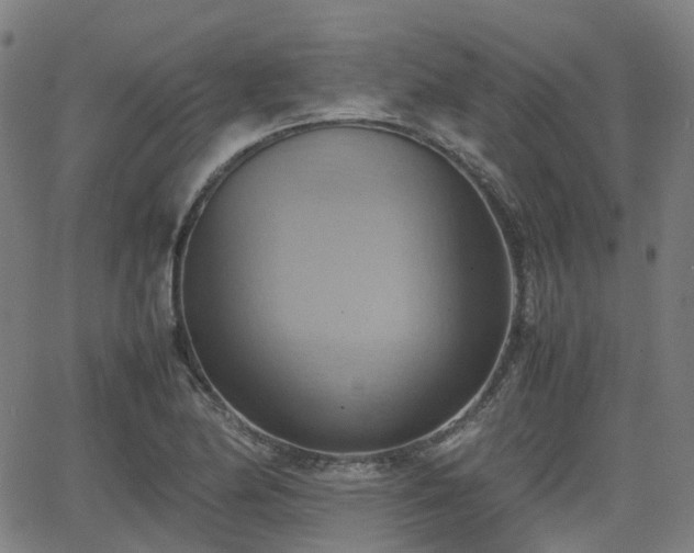 X0000064041174200601301141