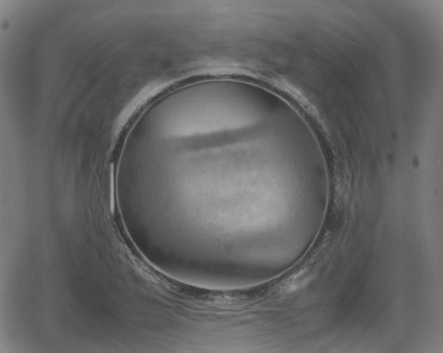 X0000064041175200601301141