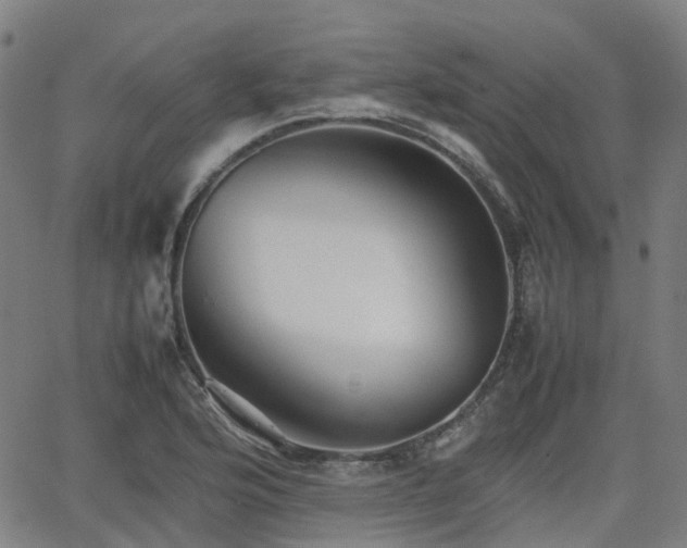 X0000064041176200601301141