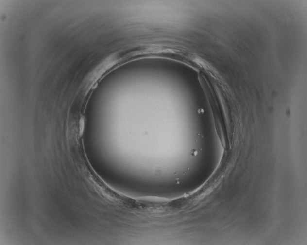 X0000064041177200601301141