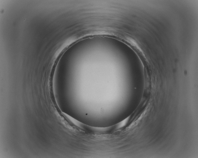 X0000064041181200601301141