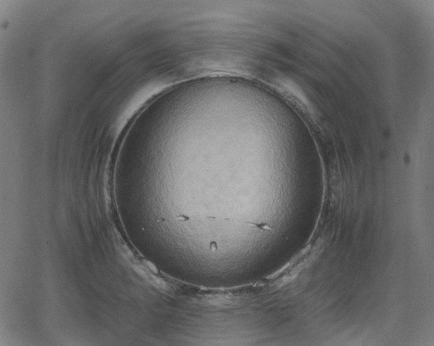 X0000064041182200601301141