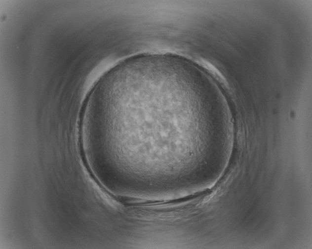 X0000064041183200601301141