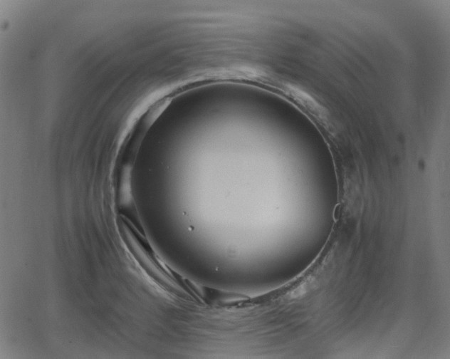 X0000064041184200601301141