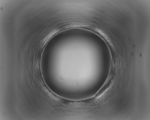 X0000064041185200601301141