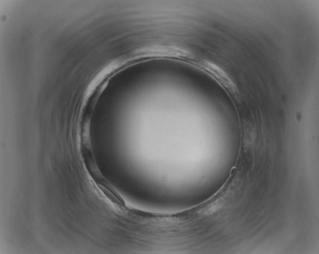 X0000064041188200601301141