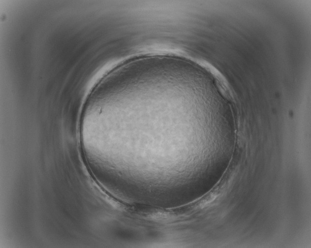 X0000064041191200601301141