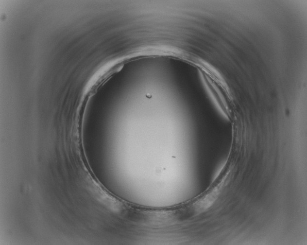 X0000064041192200601301141