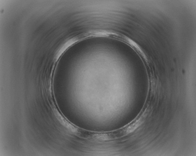 X0000064041194200601301141