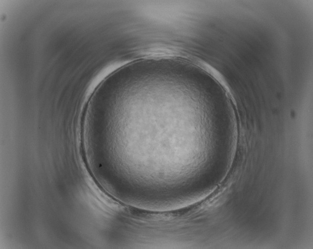 X0000064041195200601301141