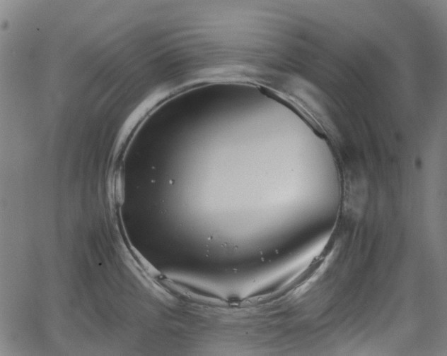 X0000064041196200601301141