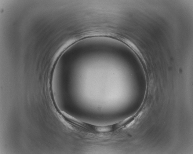 X0000064041197200601301141