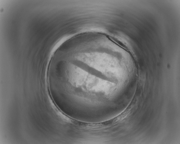 X0000064041199200601301141