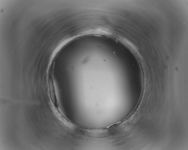 X0000064041200200601301141