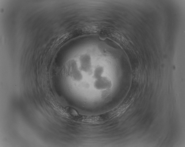 X0000064041201200601301140