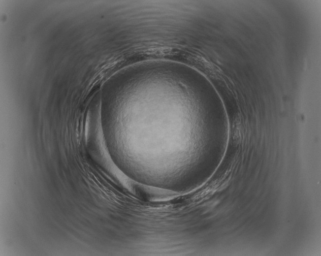 X0000064041202200601301140