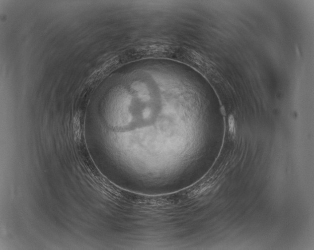 X0000064041203200601301140