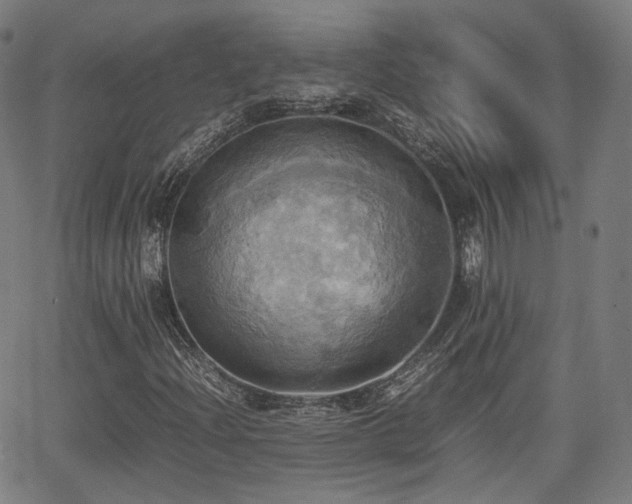 X0000064041204200601301140