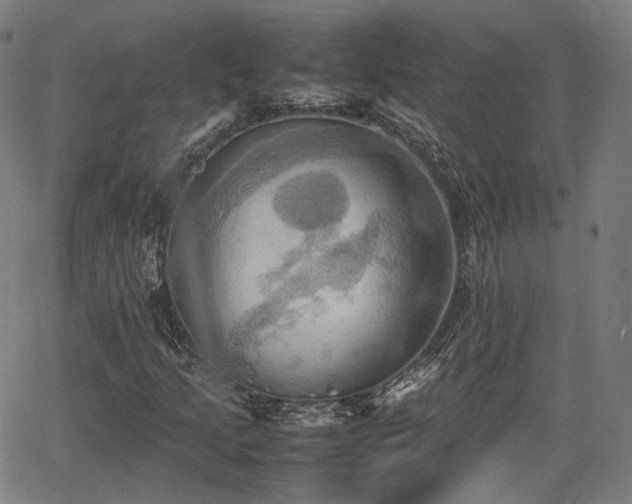 X0000064041205200601301140