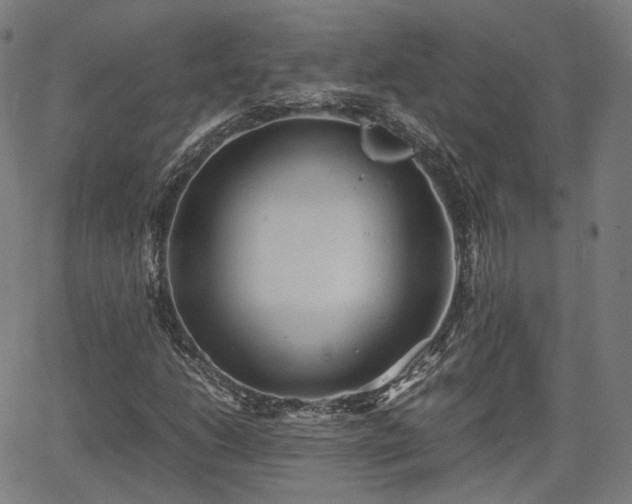 X0000064041206200601301140