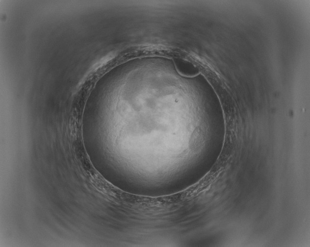 X0000064041207200601301140