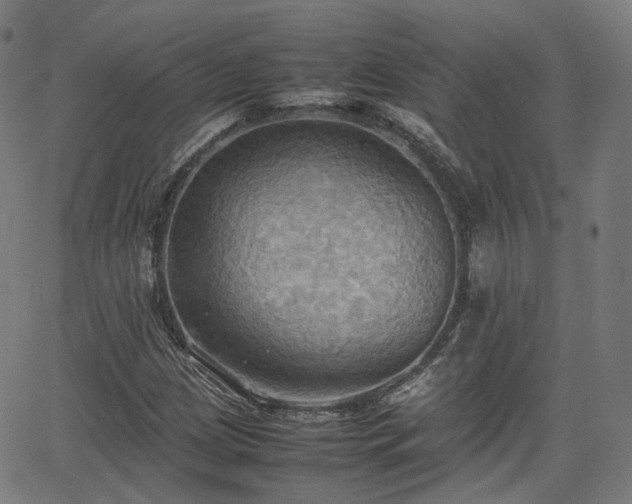 X0000064041209200601301140