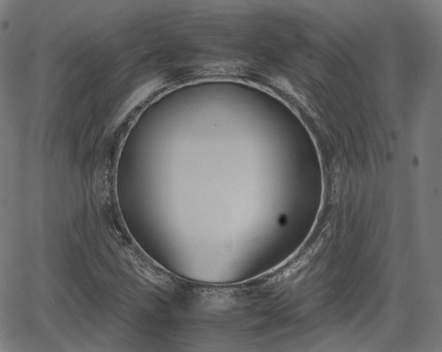 X0000064041211200601301140