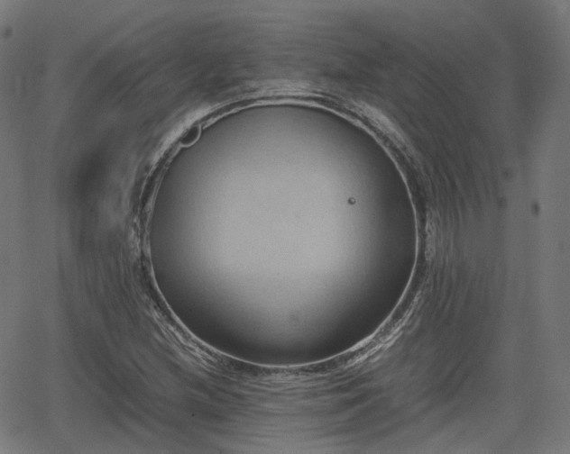 X0000064041212200601301140