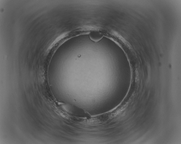 X0000064041213200601301140