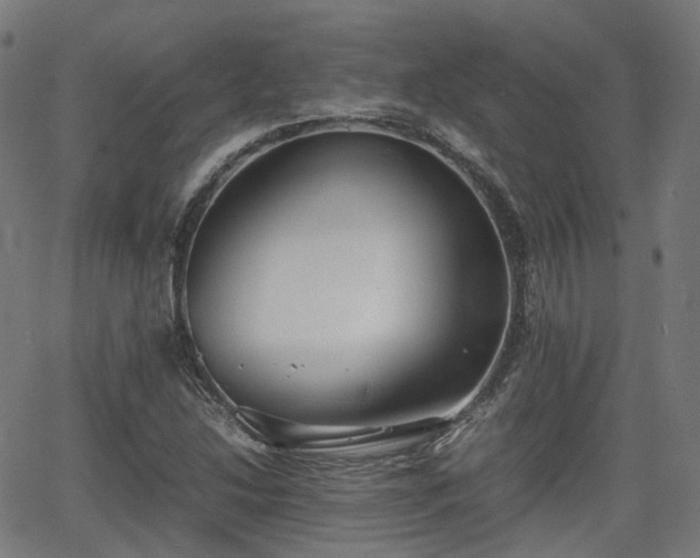 X0000064041214200601301140