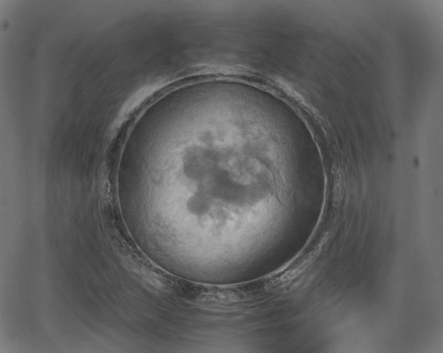 X0000064041215200601301140