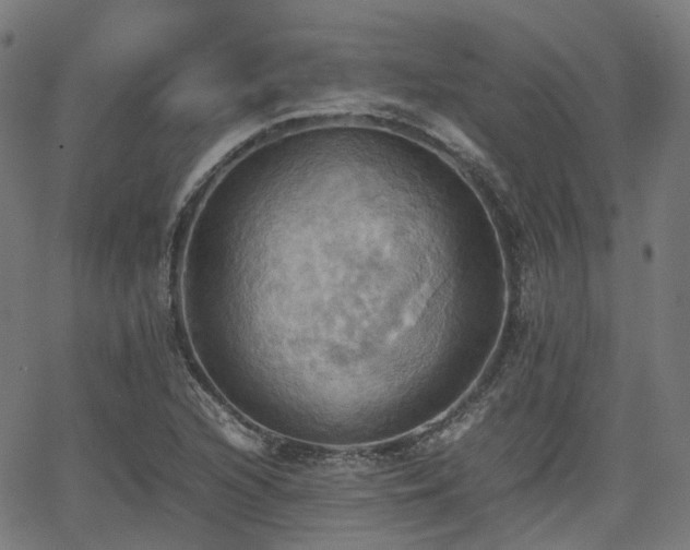 X0000064041216200601301140