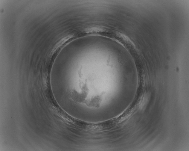 X0000064041217200601301140