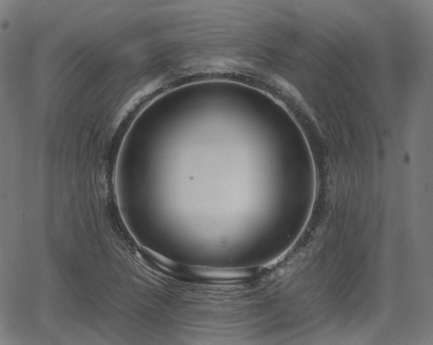 X0000064041218200601301140