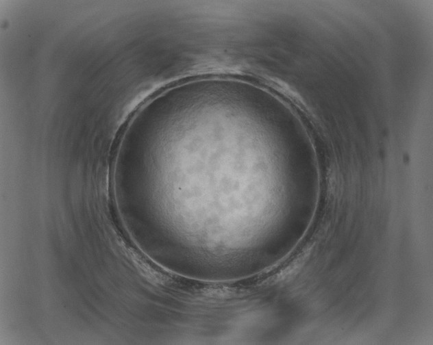 X0000064041220200601301140