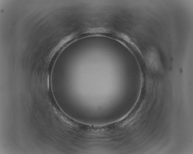 X0000064041221200601301140