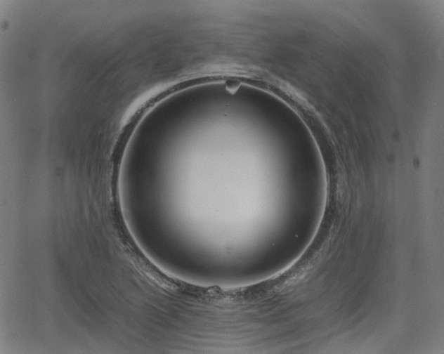 X0000064041222200601301140