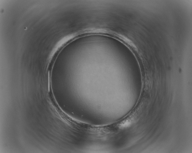 X0000064041223200601301140