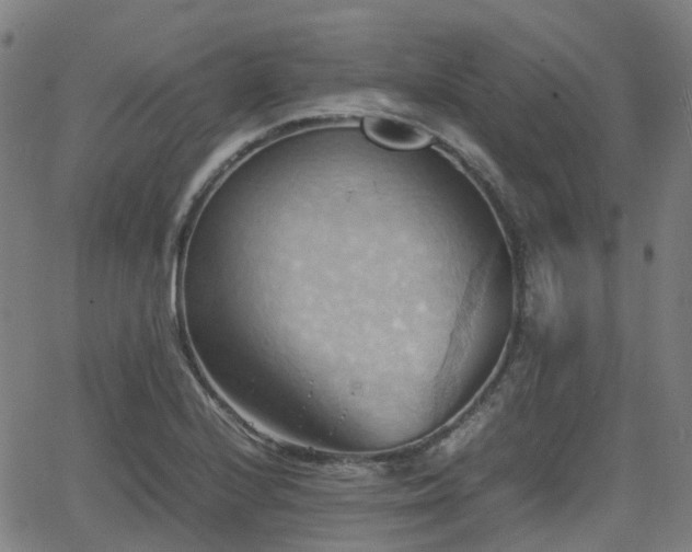 X0000064041224200601301140