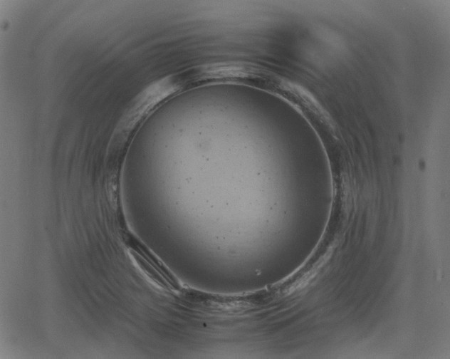 X0000064041225200601301140