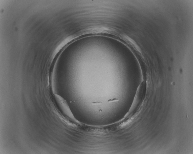 X0000064041226200601301140