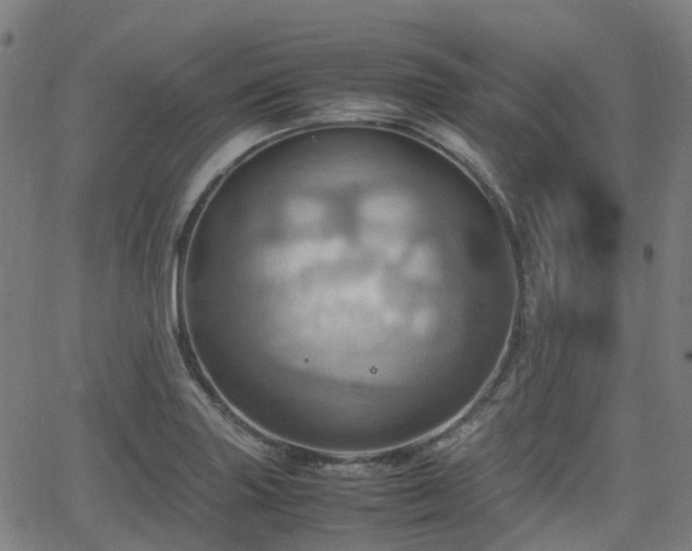 X0000064041227200601301140