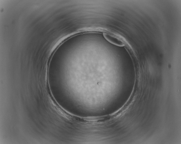 X0000064041228200601301140